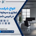 شرکت‌های تجاری و سرمایه‌گذاری در قبرس شمالی